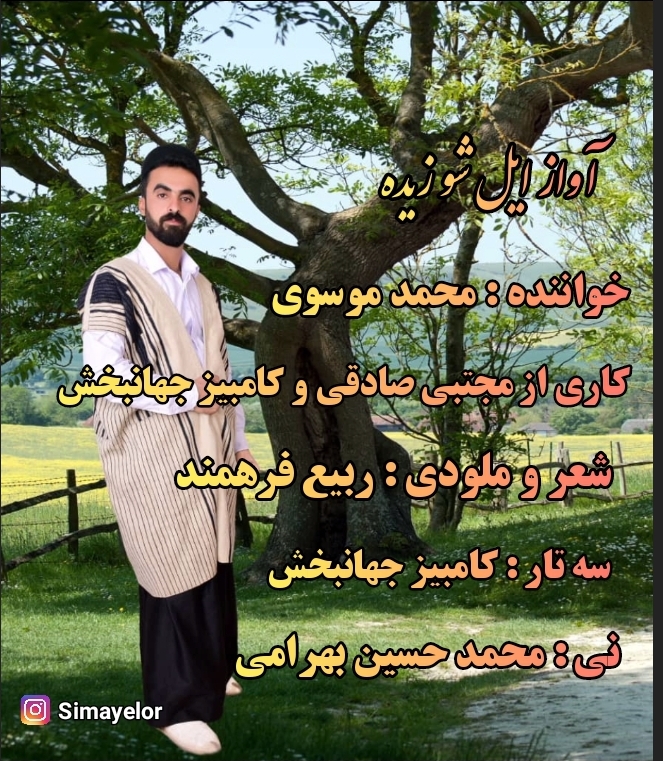 محمد موسوی بیدله ایل شو زیده